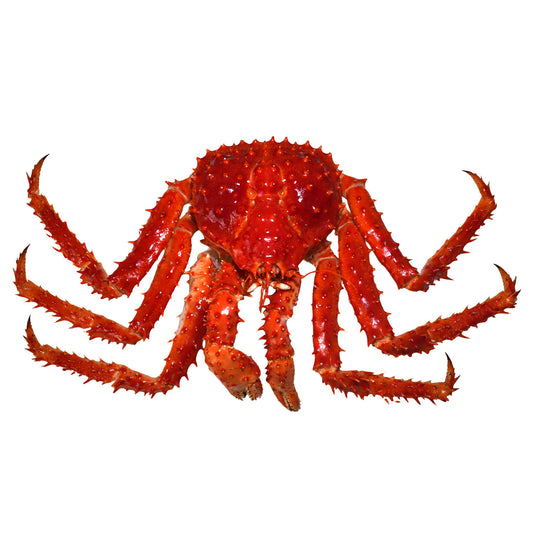 Centolla Austral Entera