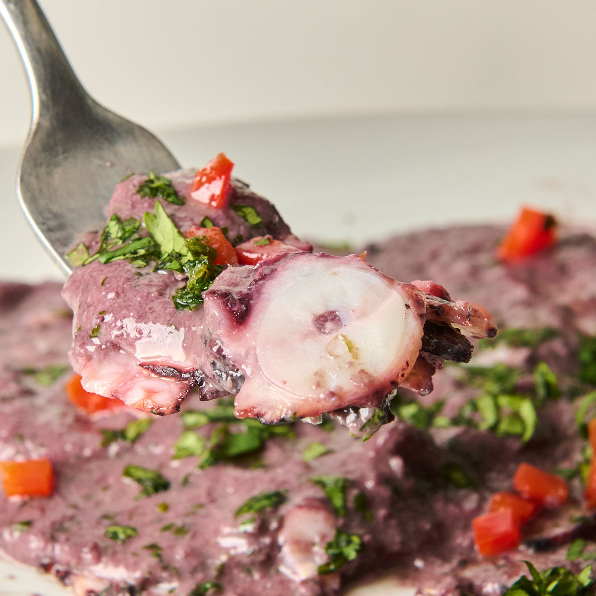 Carpaccio  de Pulpo con salsa al olivo